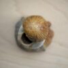 フラワーガール・花瓶 / Rutebo・ルーテボ / スウェーデン - 画像 (8)