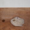 木彫りのくま・桶を見つめる熊 / バガロツカエ・民芸品 - 画像 (10)