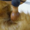 きつね・木製の動物 / スウェーデンのモフモフ - 画像 (8)