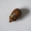 ハリネズミの置き物 / Rutebo・ルーテボ / スウェーデン - 画像 (6)