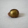 虫の置き物・Gullpigaゴールド① / Rutebo・ルーテボ - 画像 (3)