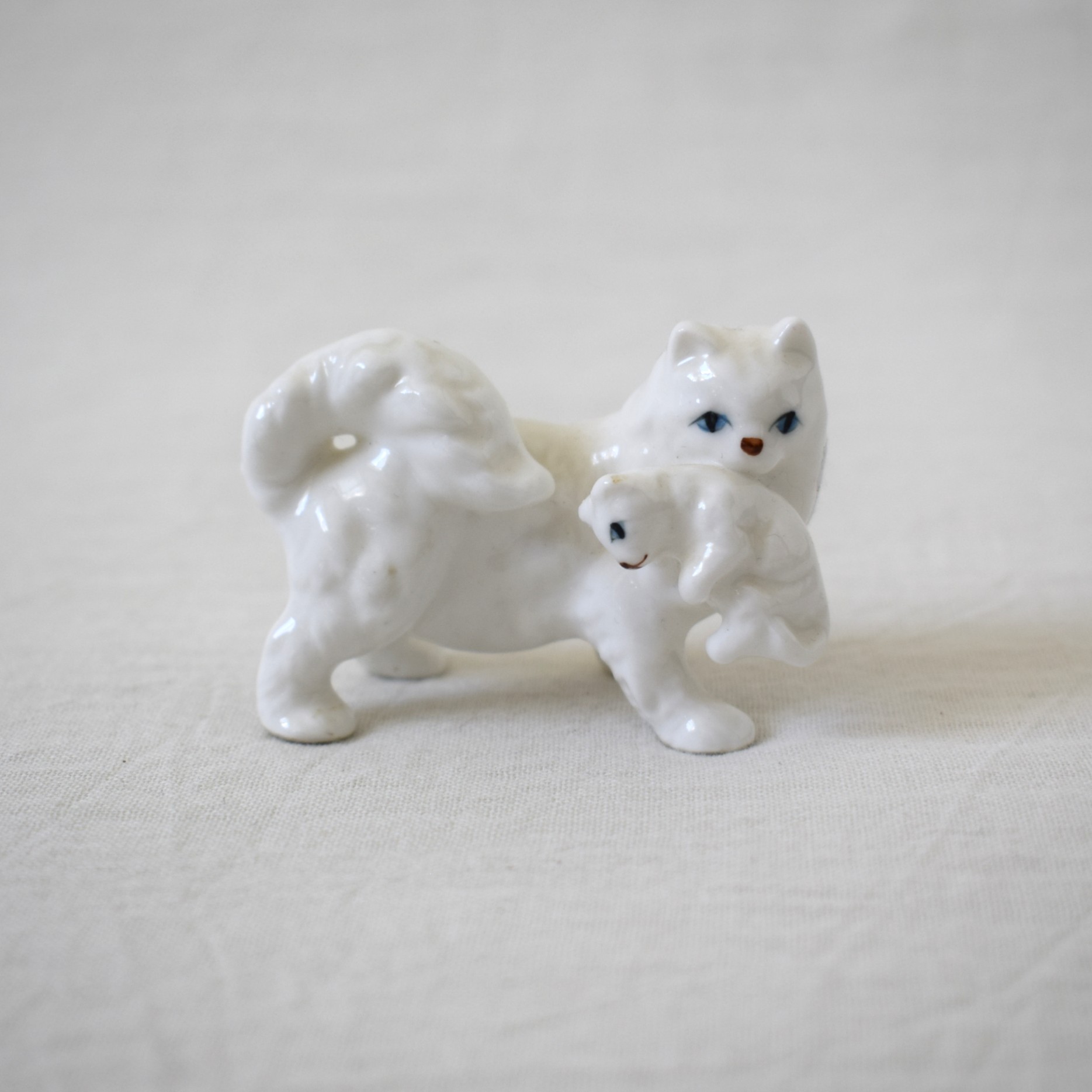 青い目の猫・親子 / JAPAN×SWEDEN