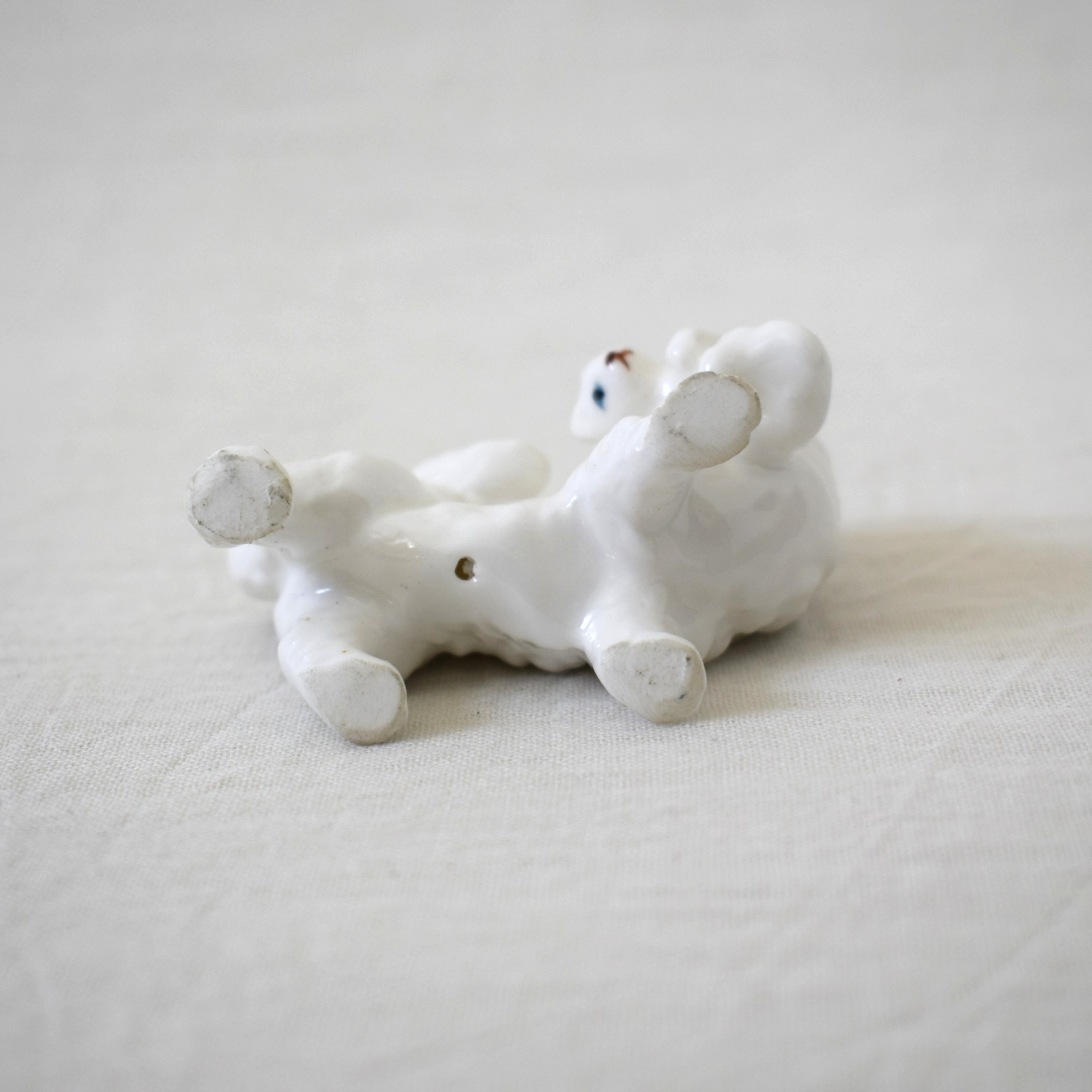 青い目の猫・親子 / JAPAN×SWEDEN - 画像 (5)