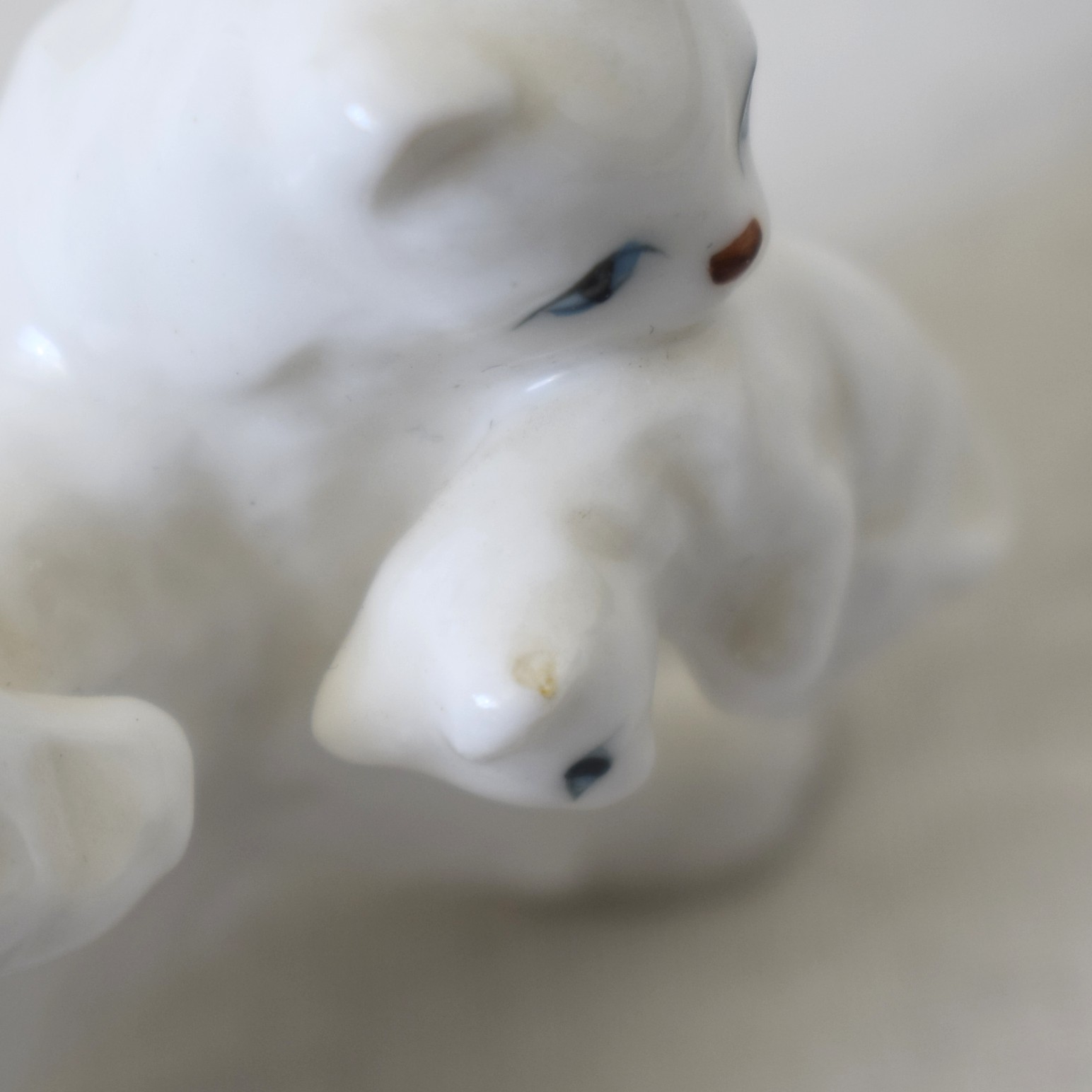 青い目の猫・親子 / JAPAN×SWEDEN - 画像 (7)