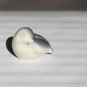 目をつむる鳥 / Rosa Ljung・ロサユング / DECO・デコ社