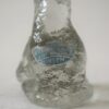 すわる熊・アクアブルー＆クリア / Stockholms Glasbruk Skansen - 画像 (9)