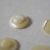 Mother of pearl shell buttons・9点セット / 貝ボタン・手芸用品 - 画像 (4)