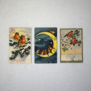 ウソ(鷽)・Domherre / 1930年のクリスマスカード