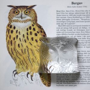 梟のガラスオブジェ / ガラス工房 Nybro・スウェーデン