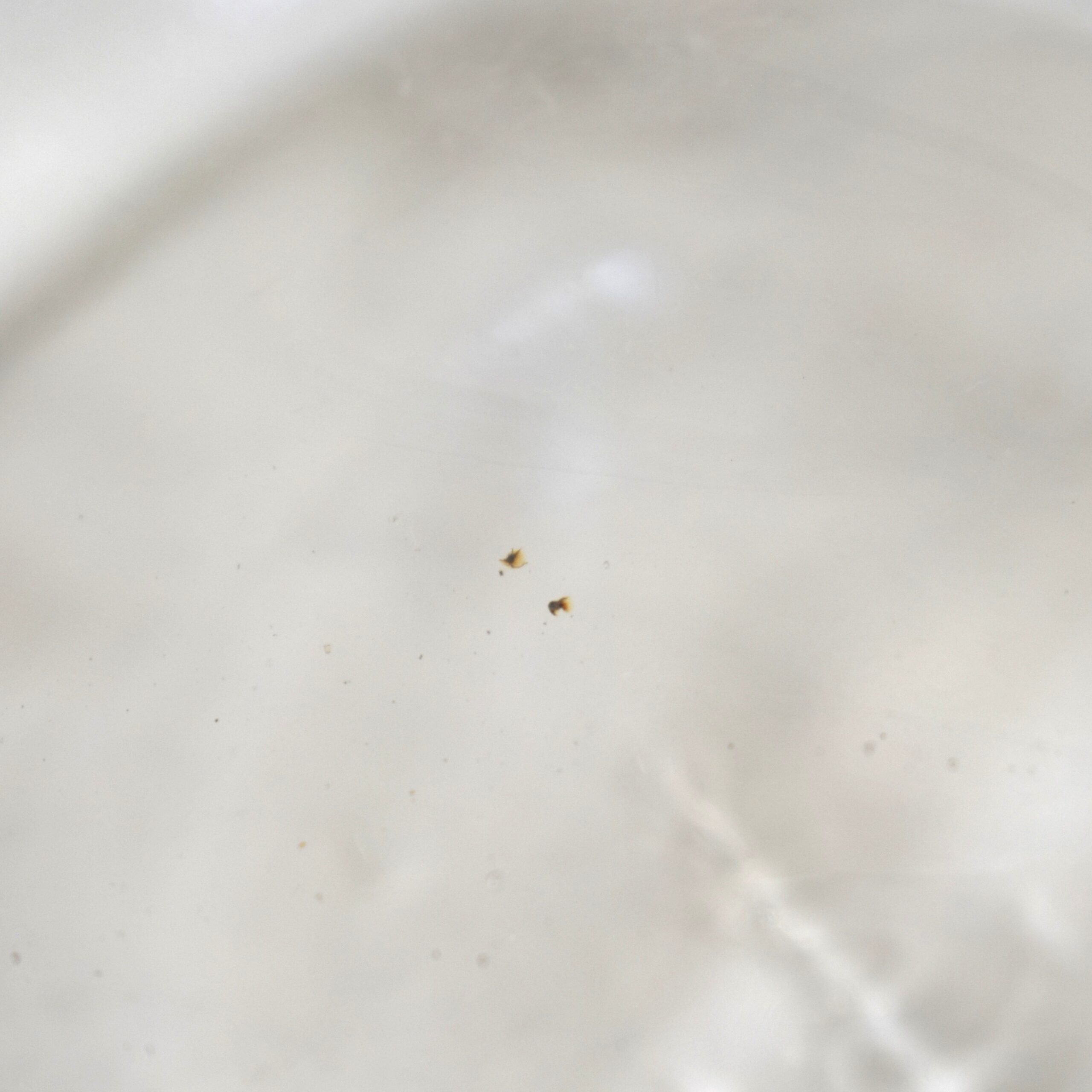 丸くて平たいガラスボトル / アンティークガラス・Unknown - 画像 (13)