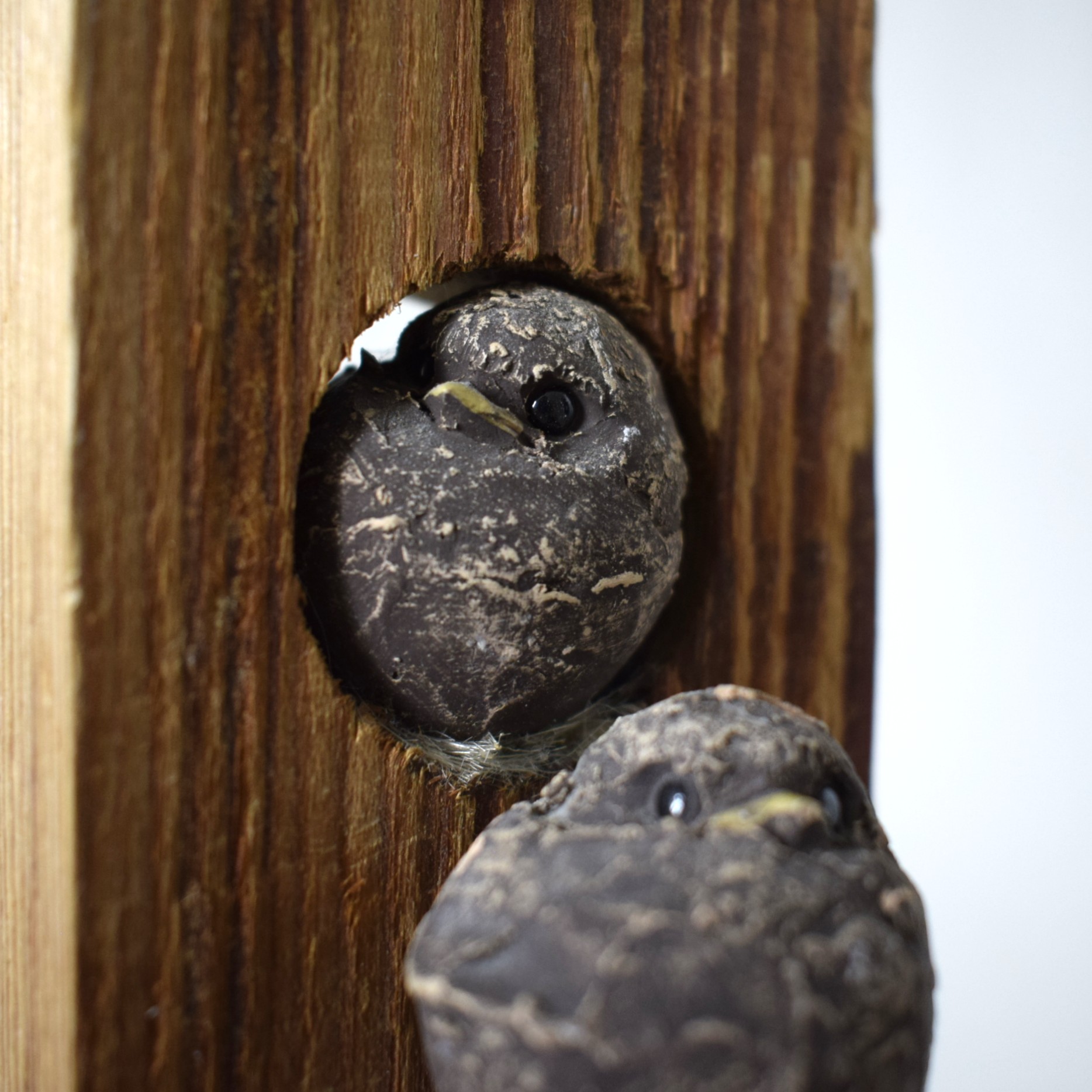 バードハウス・二羽の鳥 / Hannes Johansson・スウェーデン - 画像 (9)