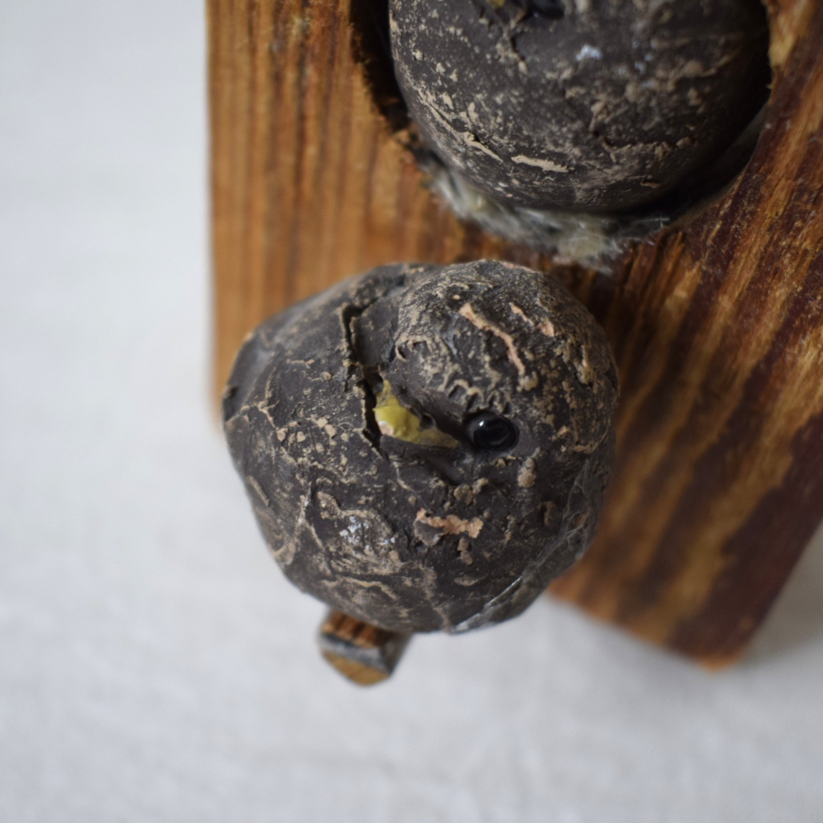 バードハウス・二羽の鳥 / Hannes Johansson・スウェーデン - 画像 (11)