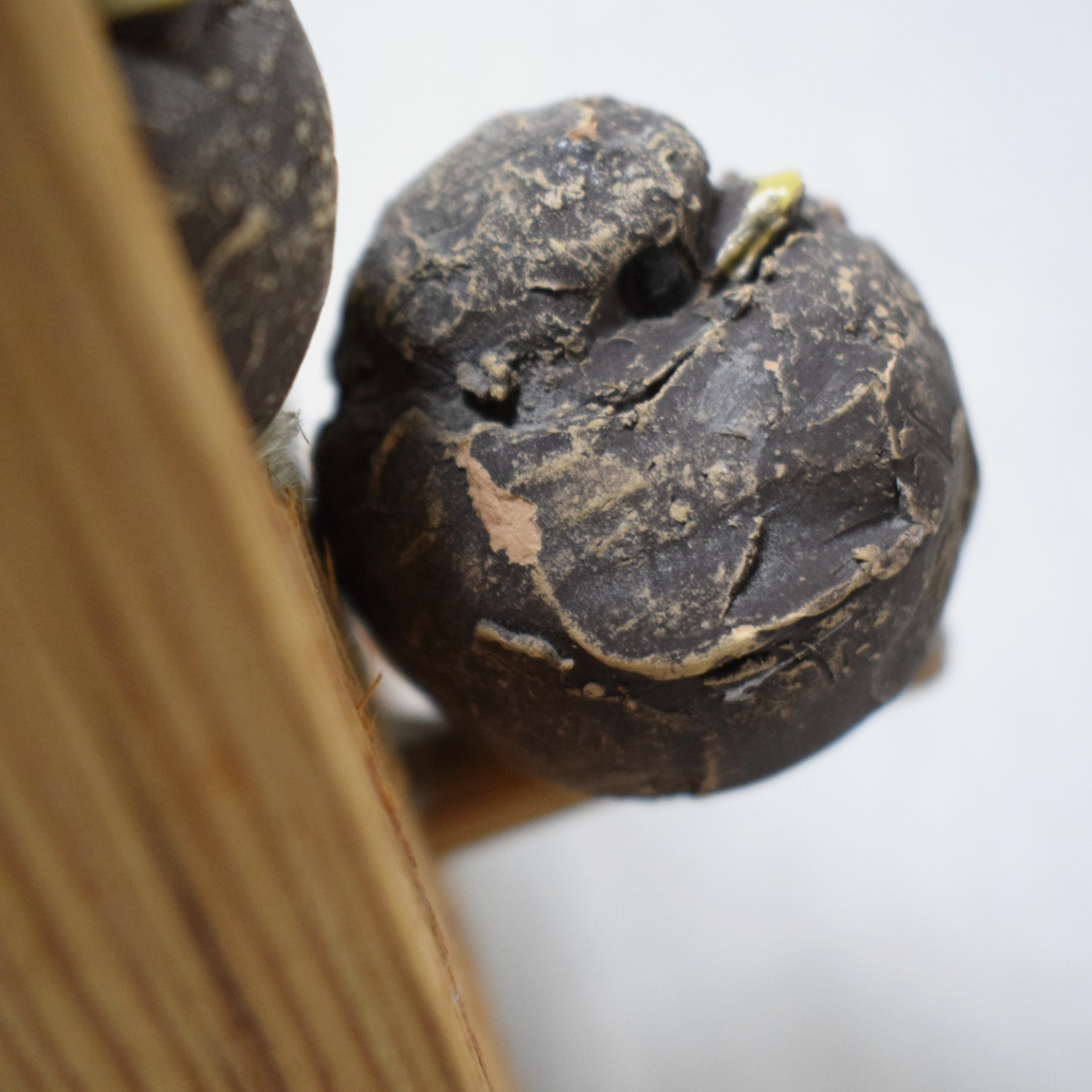 バードハウス・二羽の鳥 / Hannes Johansson・スウェーデン - 画像 (10)