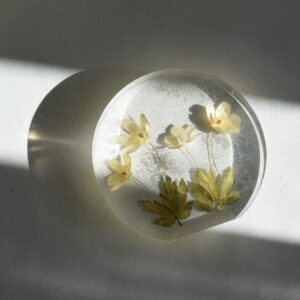 Vitsippa・アネモネ / Made in Sweden