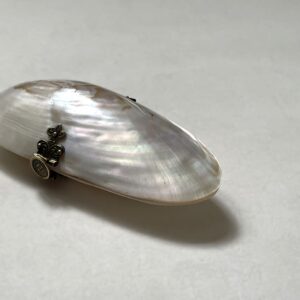 貝の小物入れ・Mother of pearl / Sweden