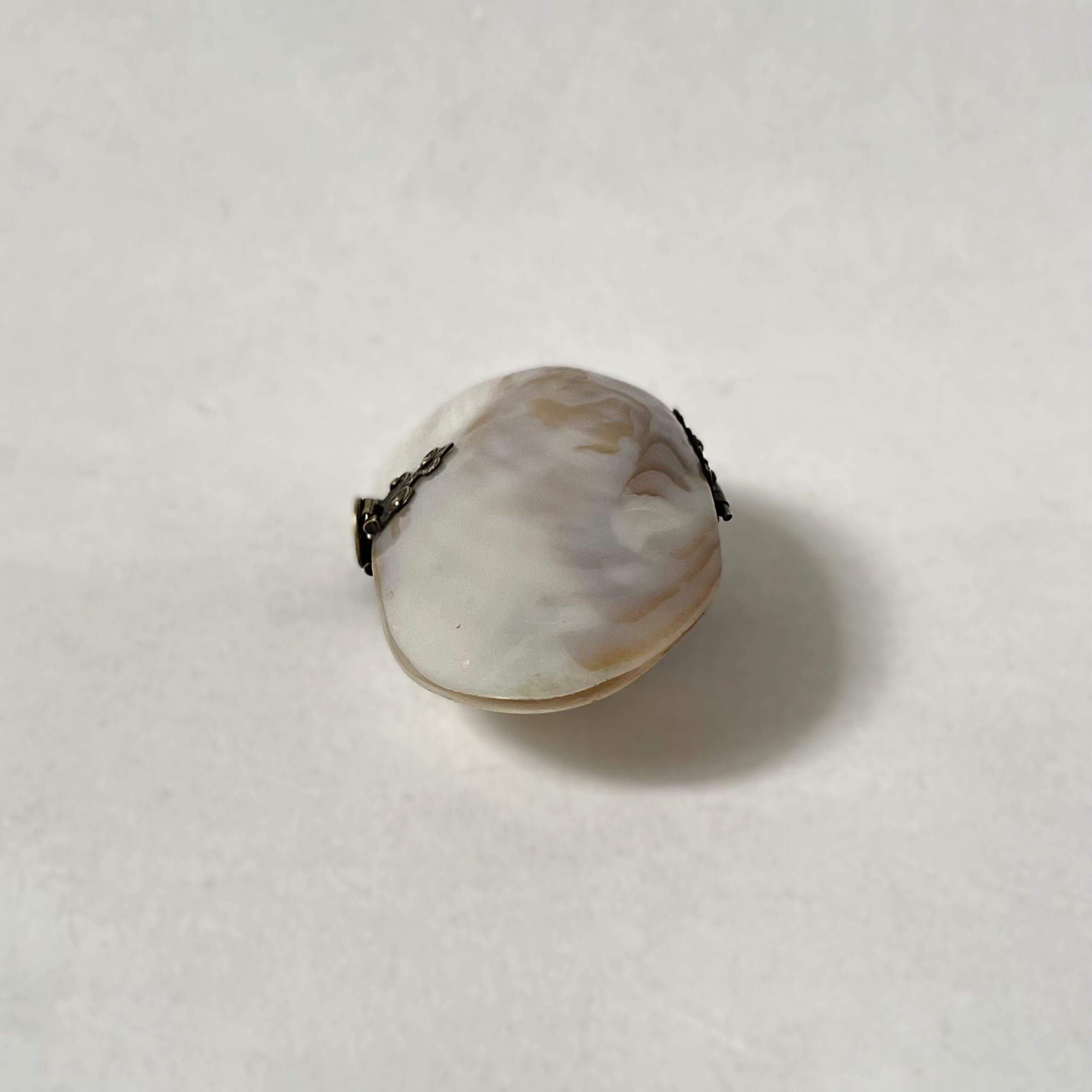 貝の小物入れ・Mother of pearl / Sweden - 画像 (3)