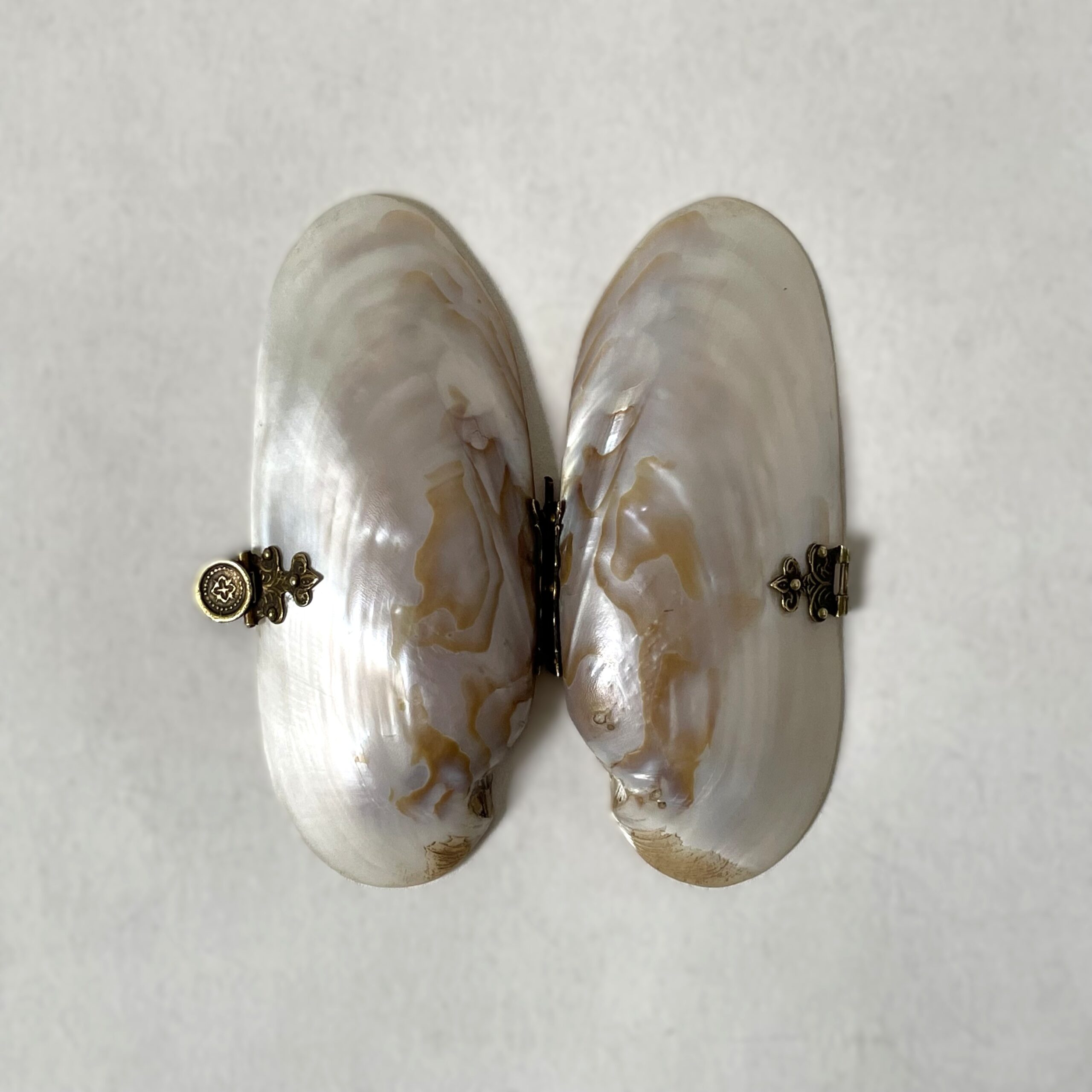 貝の小物入れ・Mother of pearl / Sweden - 画像 (6)