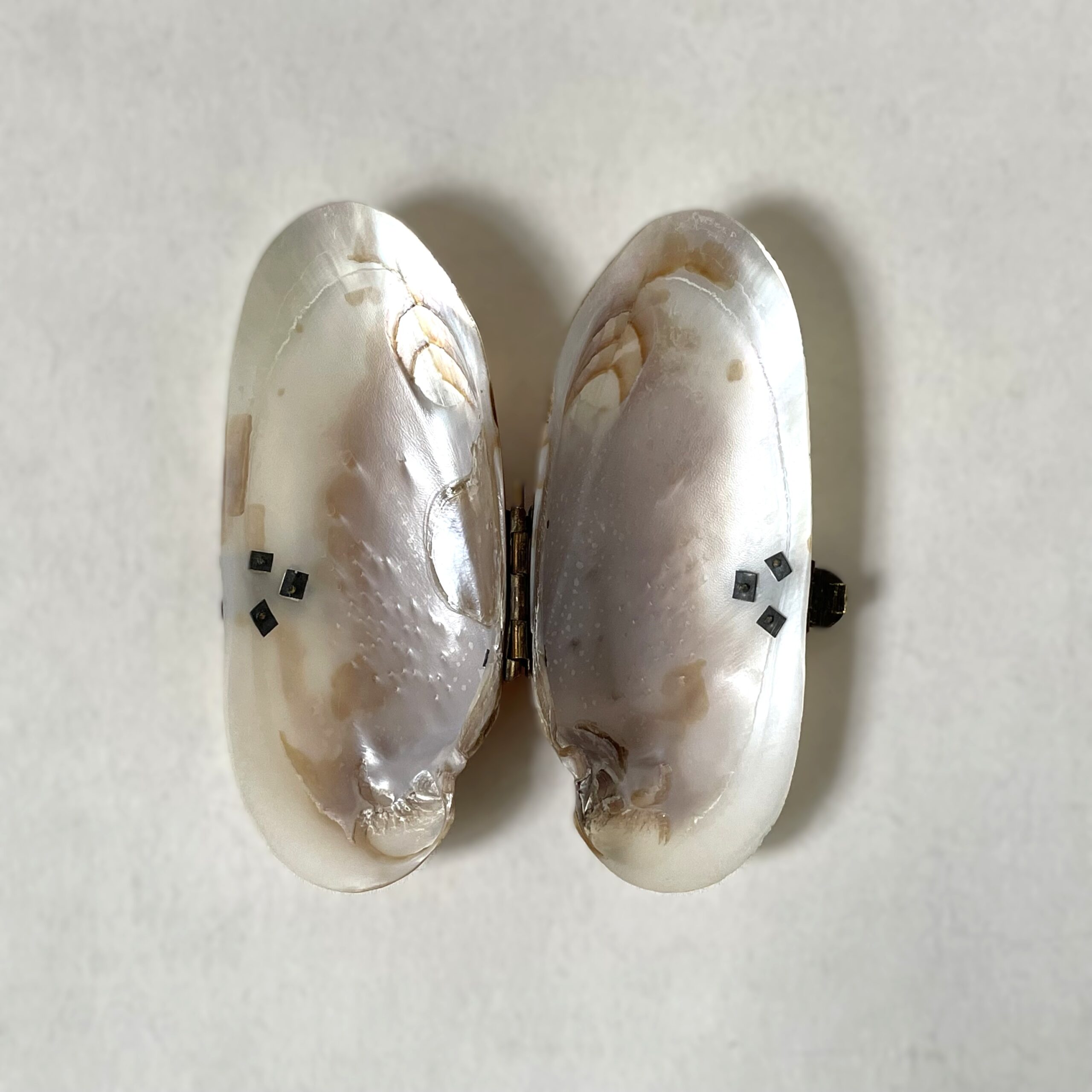 貝の小物入れ・Mother of pearl / Sweden - 画像 (7)