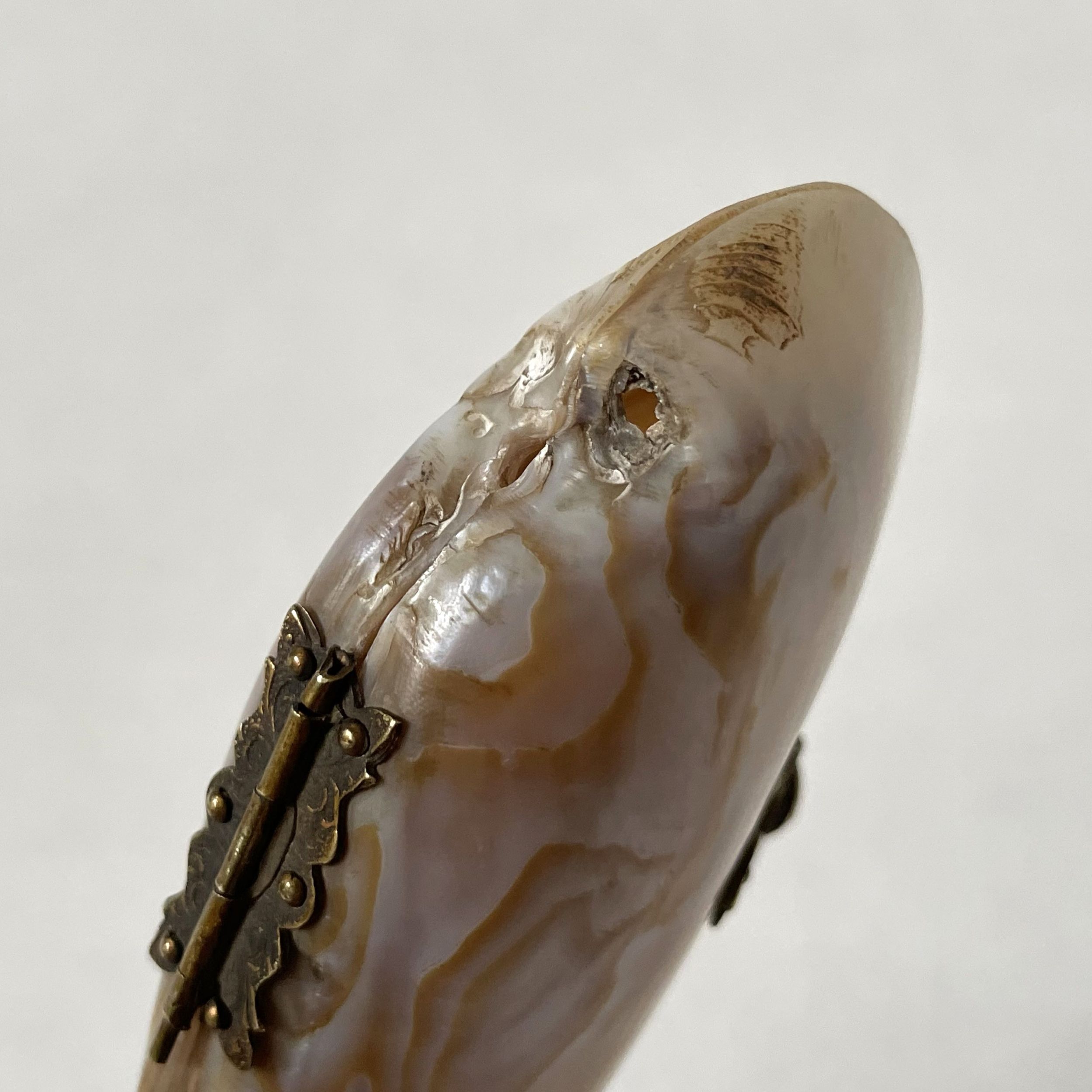 貝の小物入れ・Mother of pearl / Sweden - 画像 (9)