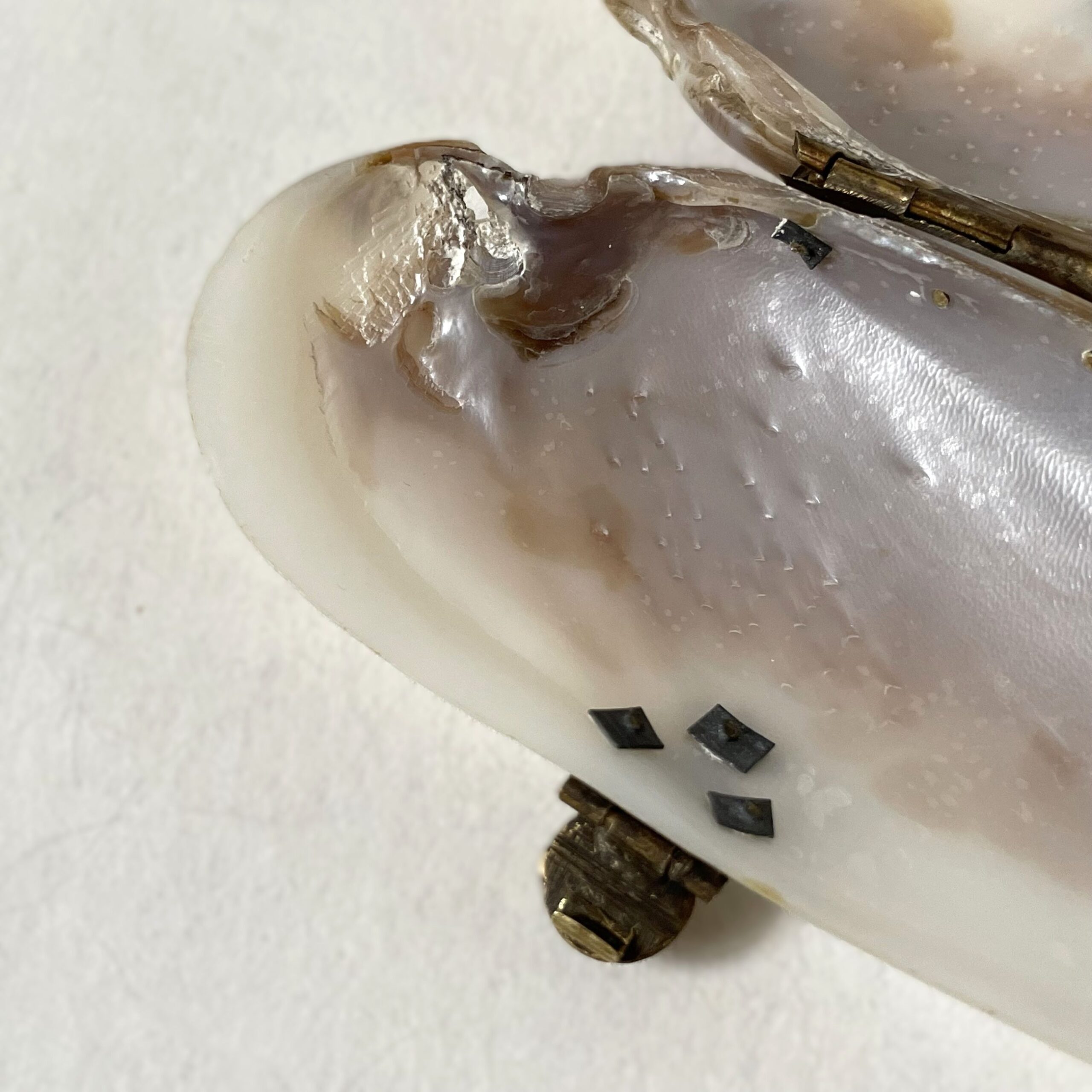 貝の小物入れ・Mother of pearl / Sweden - 画像 (11)
