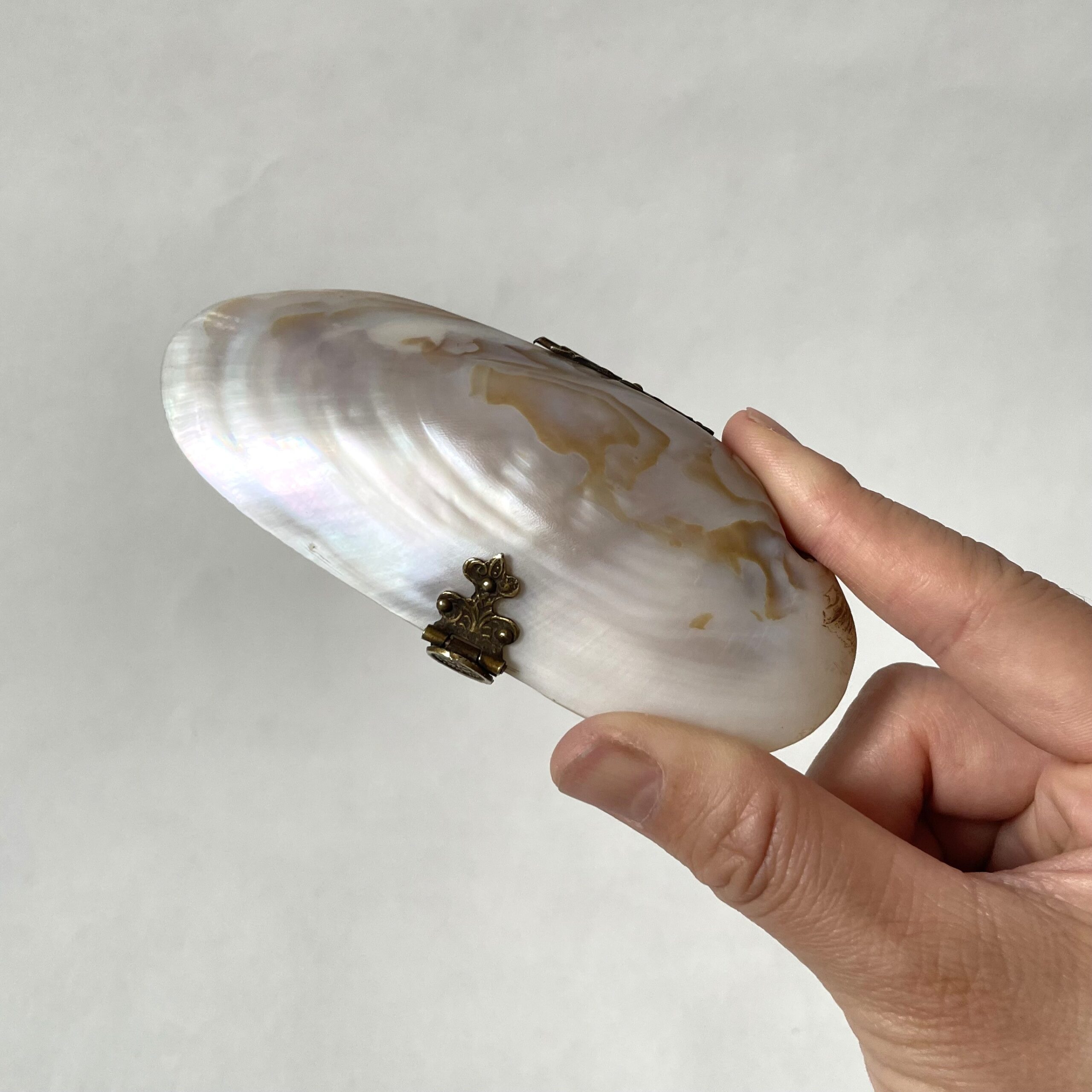 貝の小物入れ・Mother of pearl / Sweden - 画像 (13)