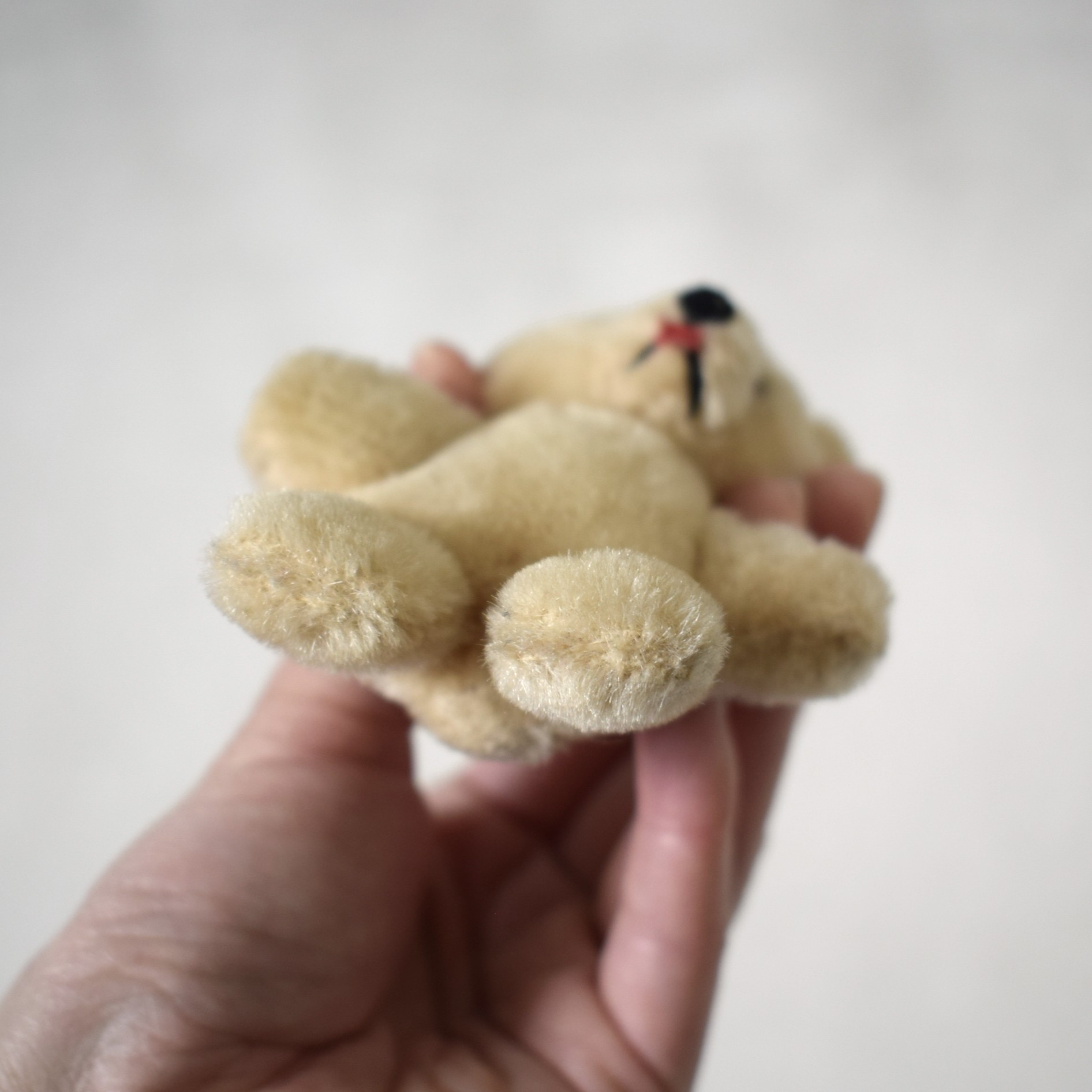 小さなテディベア・Teddy bear / スウェーデン - 画像 (6)