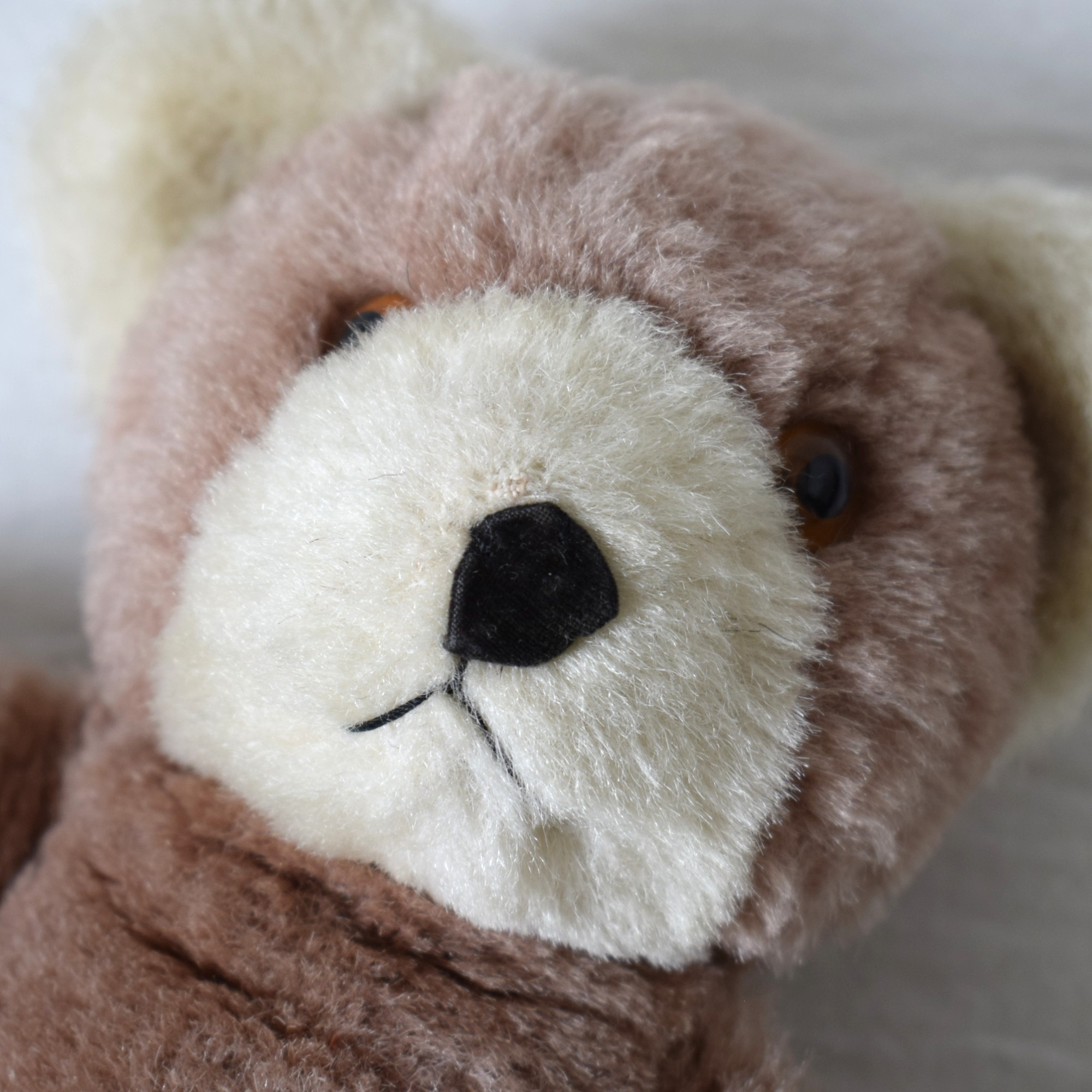 Teddy bear・バイカラー / スウェーデン - 画像 (3)