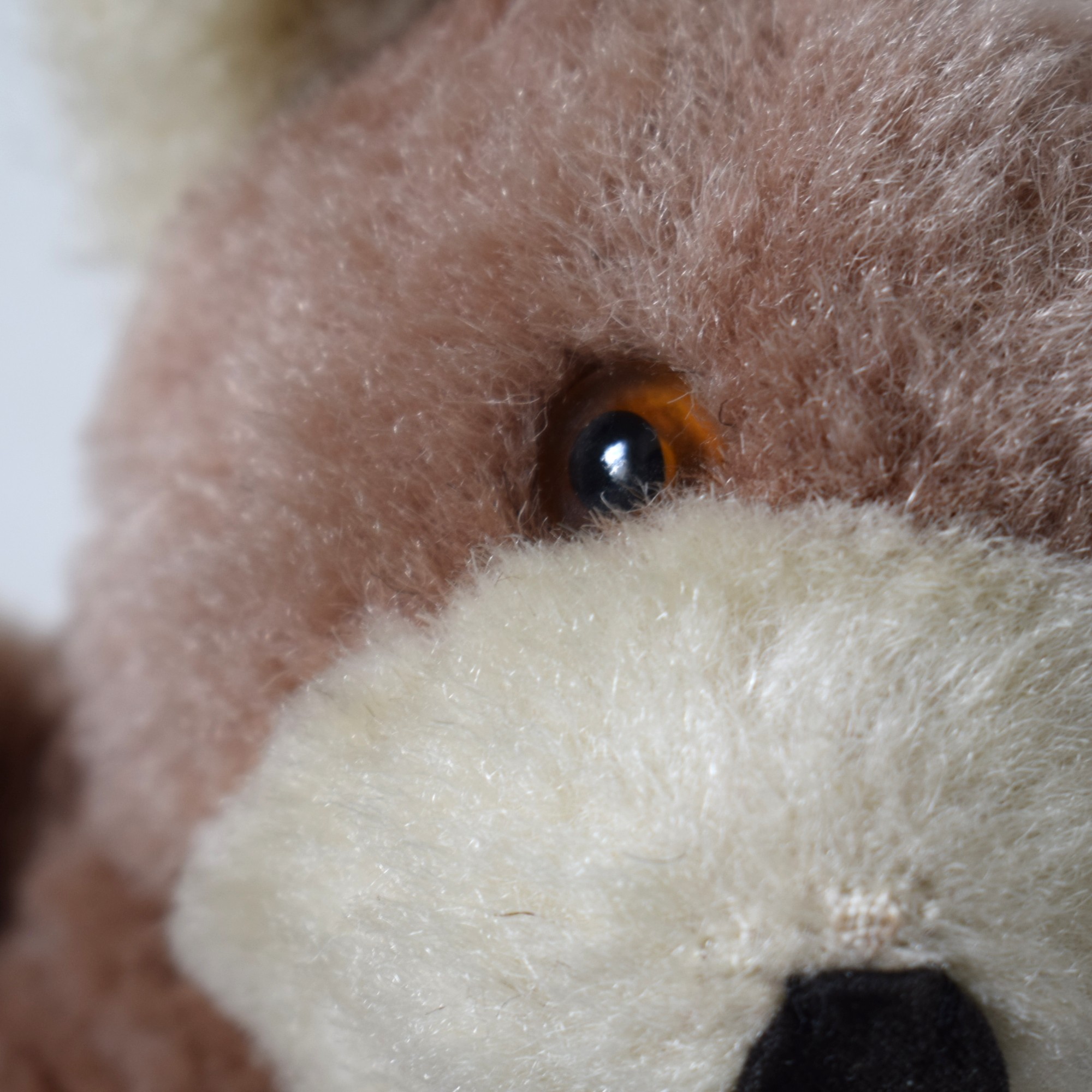 Teddy bear・バイカラー / スウェーデン - 画像 (4)