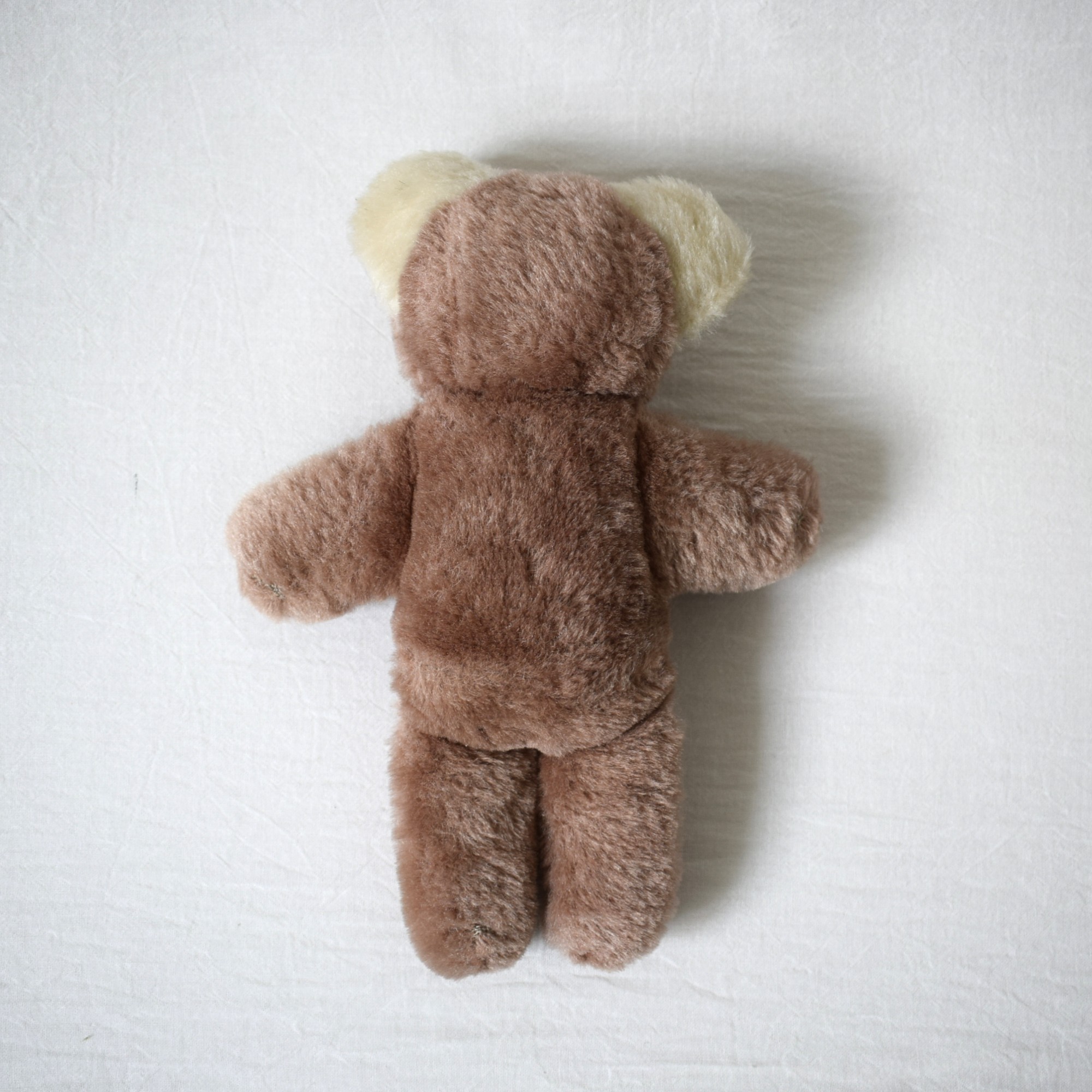 Teddy bear・バイカラー / スウェーデン - 画像 (5)