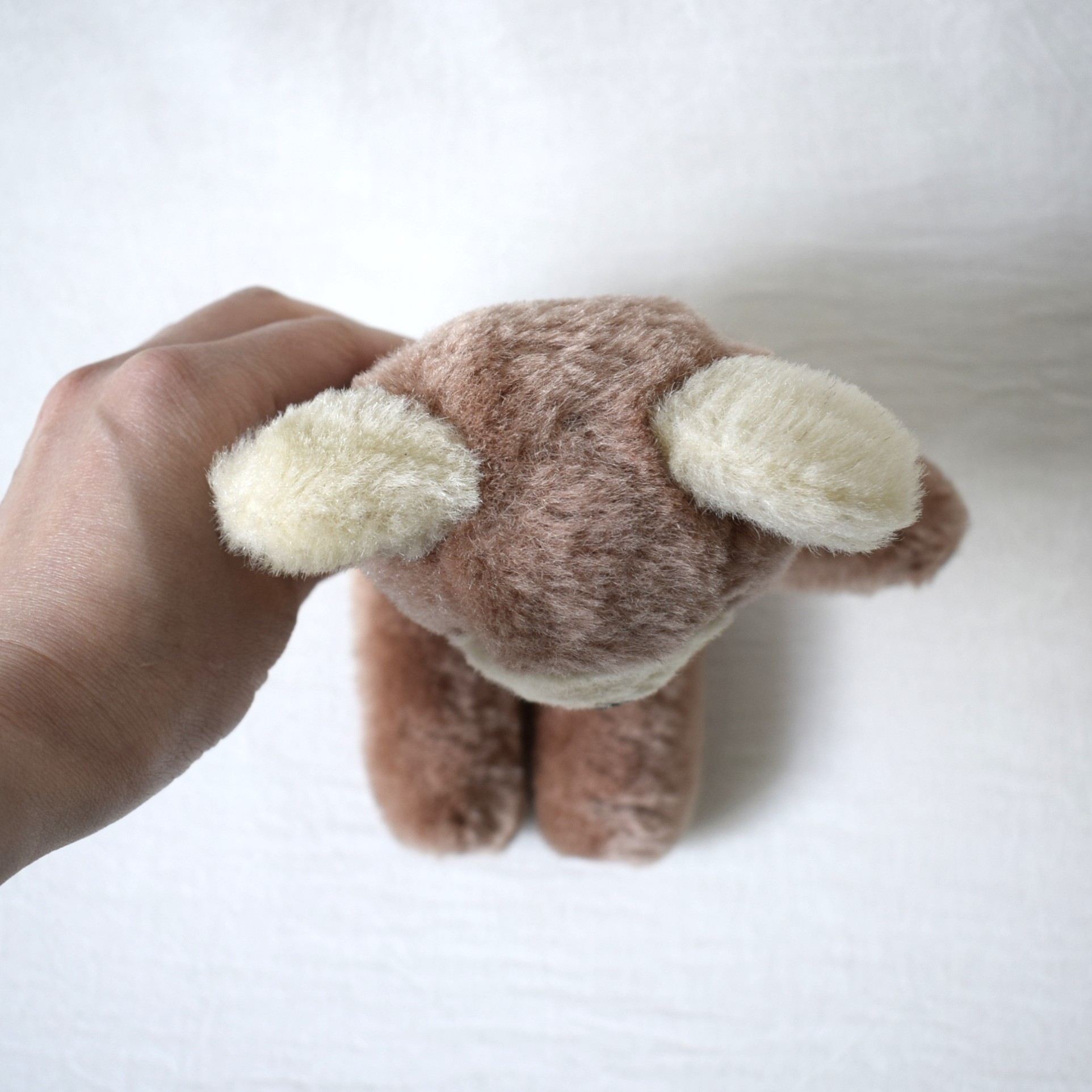 Teddy bear・バイカラー / スウェーデン - 画像 (6)