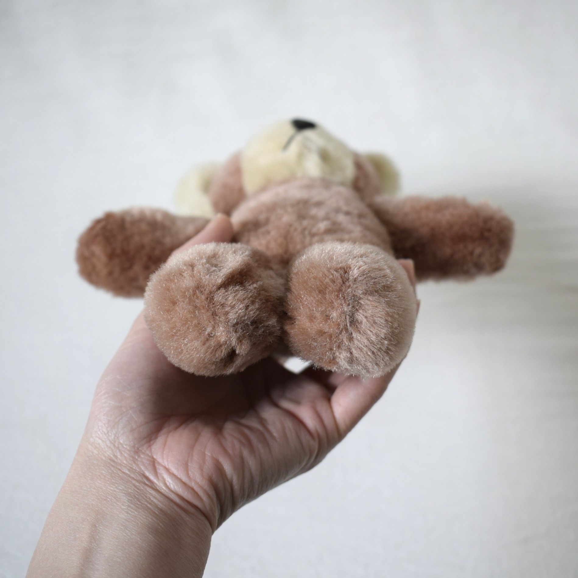 Teddy bear・バイカラー / スウェーデン - 画像 (8)