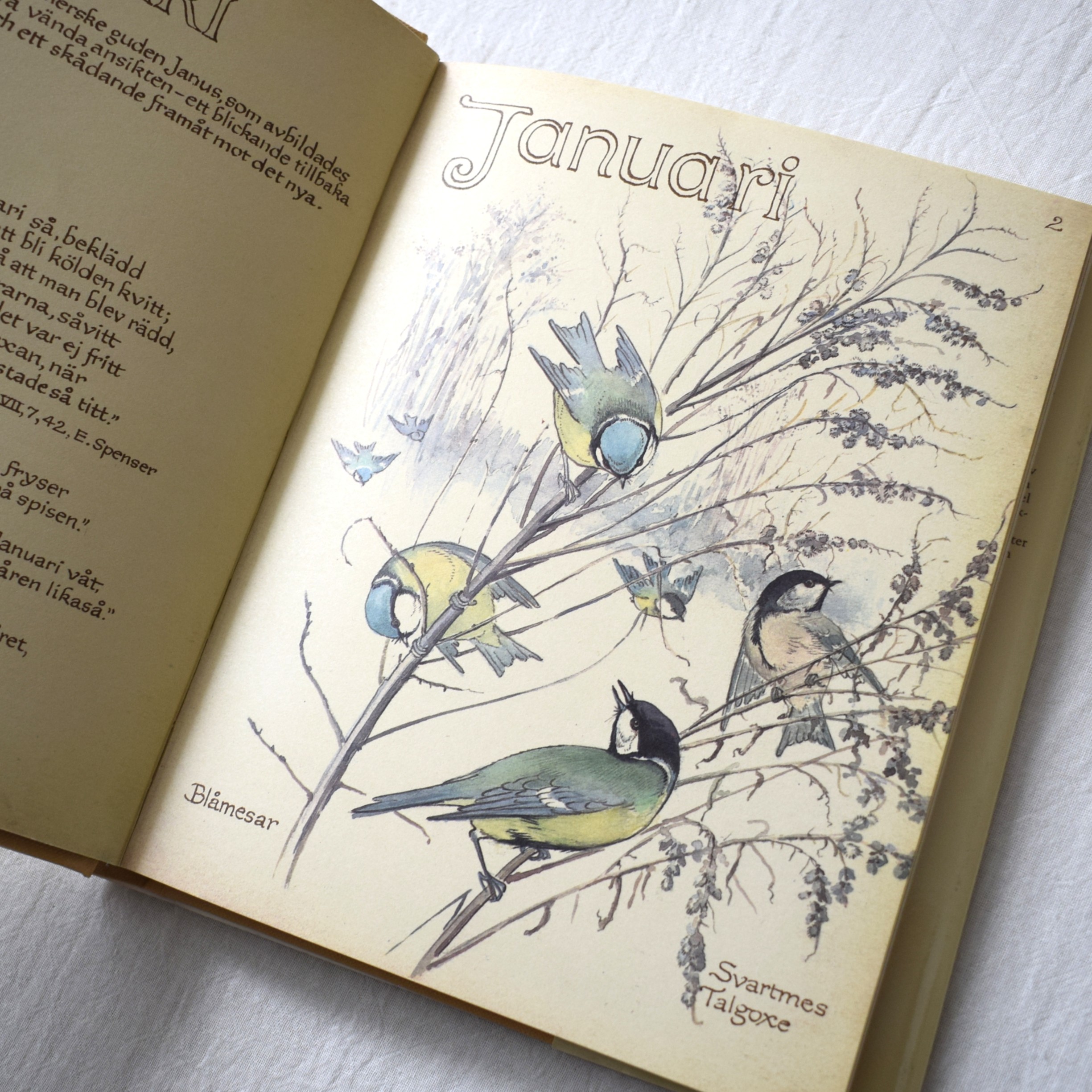 Naturdagbok av en engelsk dam året 1906・Edith Holden / 1978年出版・古書 - 画像 (4)