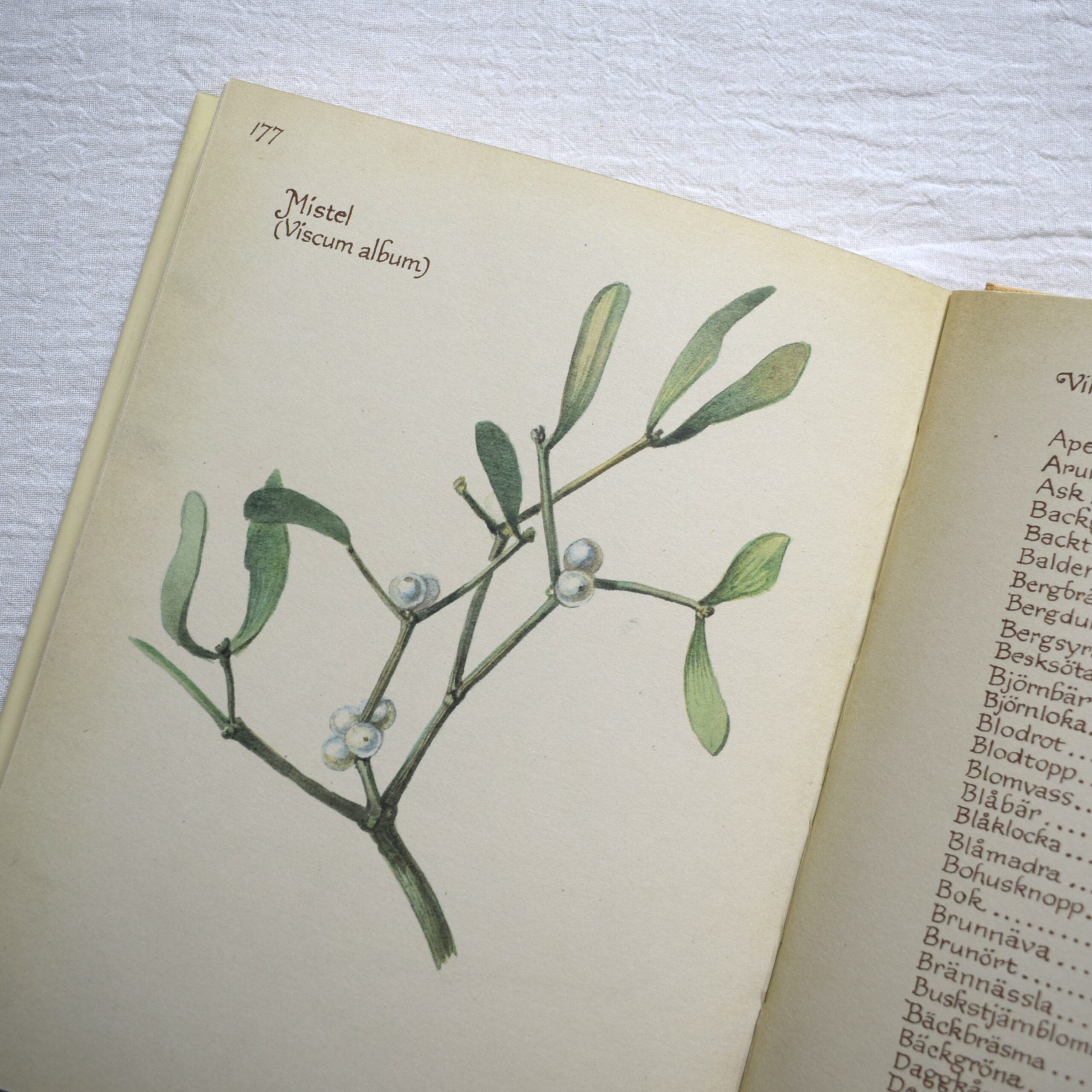 Naturdagbok av en engelsk dam året 1906・Edith Holden / 1978年出版・古書 - 画像 (10)