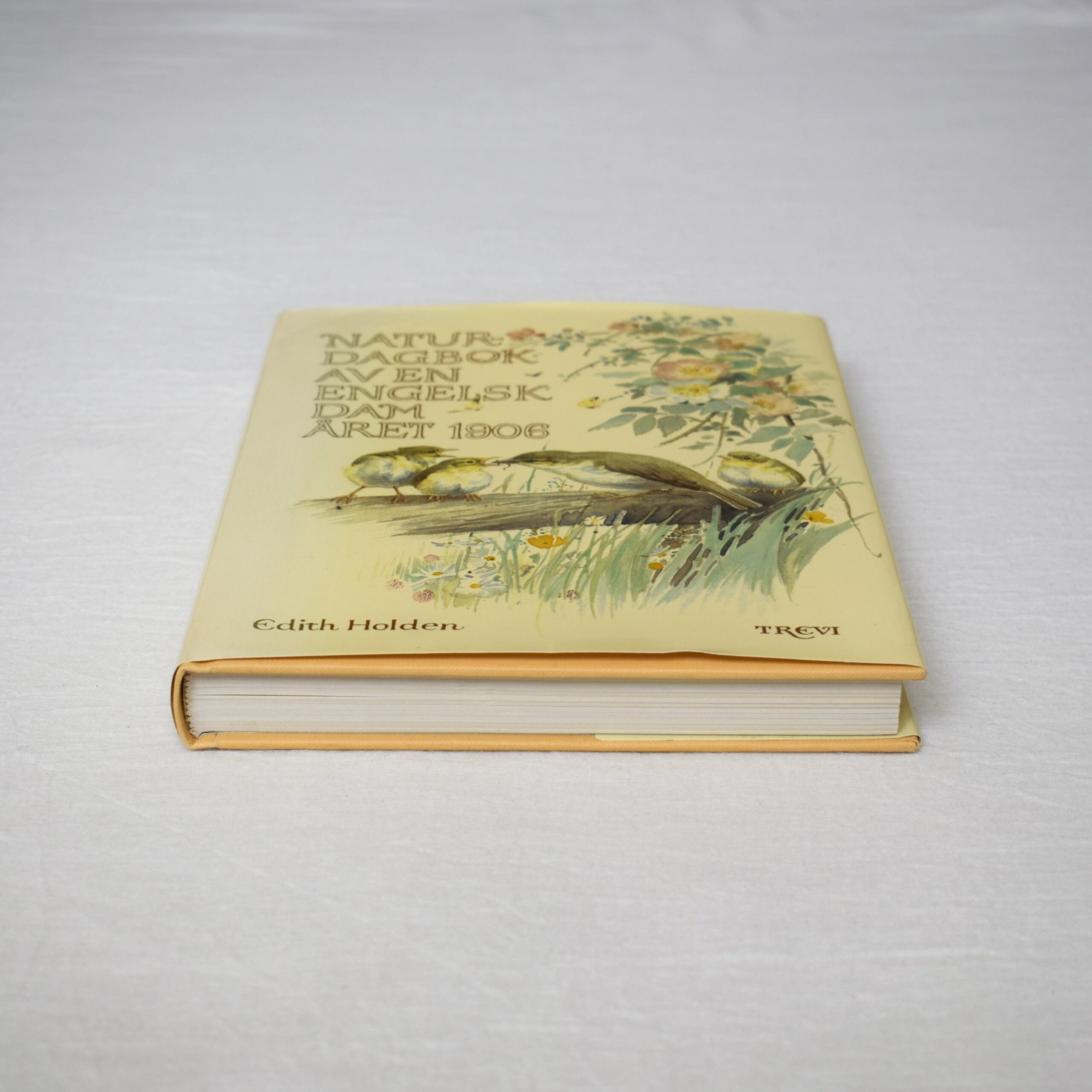 Naturdagbok av en engelsk dam året 1906・Edith Holden / 1978年出版・古書 - 画像 (11)