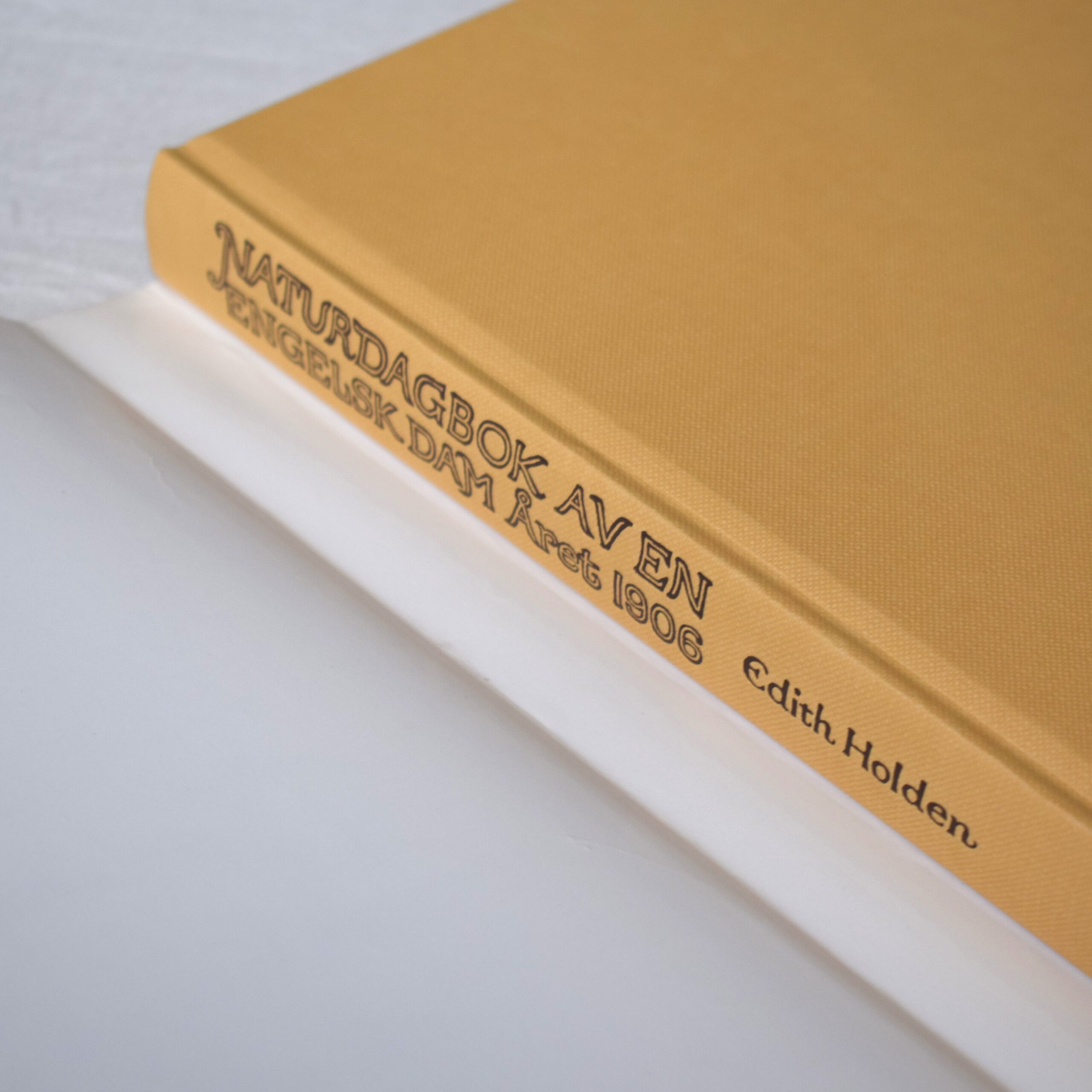 Naturdagbok av en engelsk dam året 1906・Edith Holden / 1978年出版・古書 - 画像 (13)