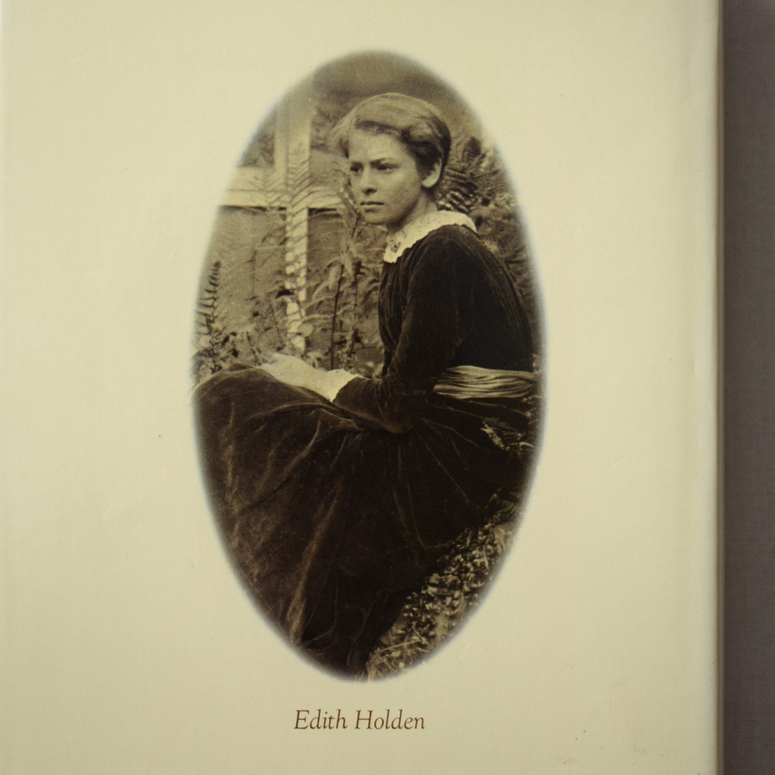 Naturdagbok av en engelsk dam året 1906・Edith Holden / 1978年出版・古書 - 画像 (16)